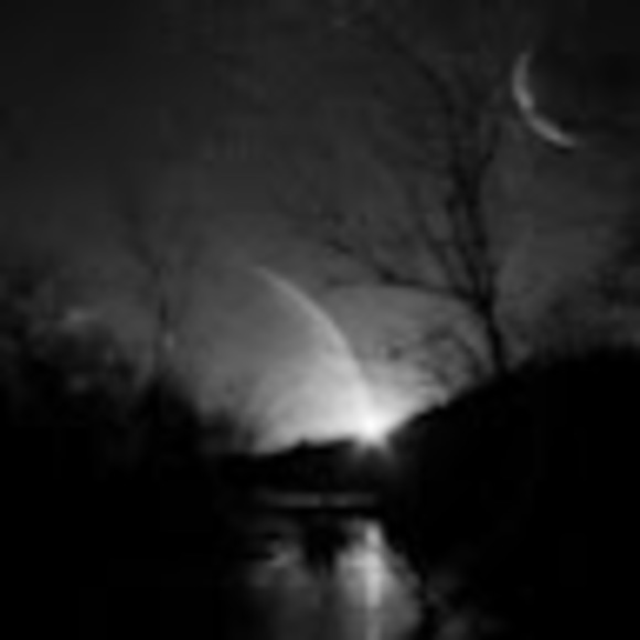 Meet your Posher, Erica - Picture 1 of 1